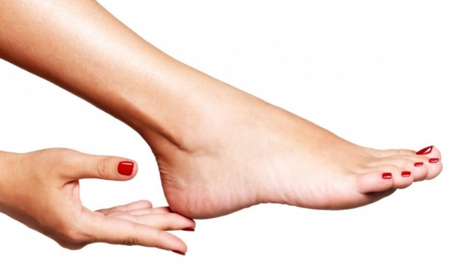 Mantardan funet kullanımı