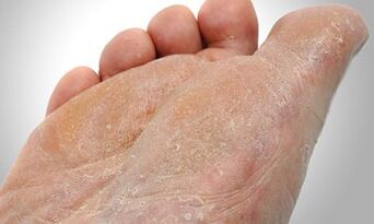 Ayak mantar iletim yolları